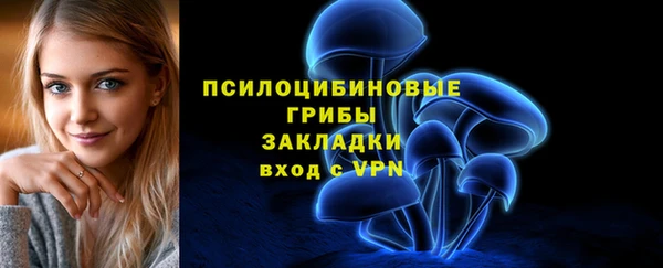 spice Беломорск