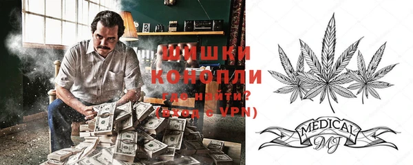 spice Беломорск